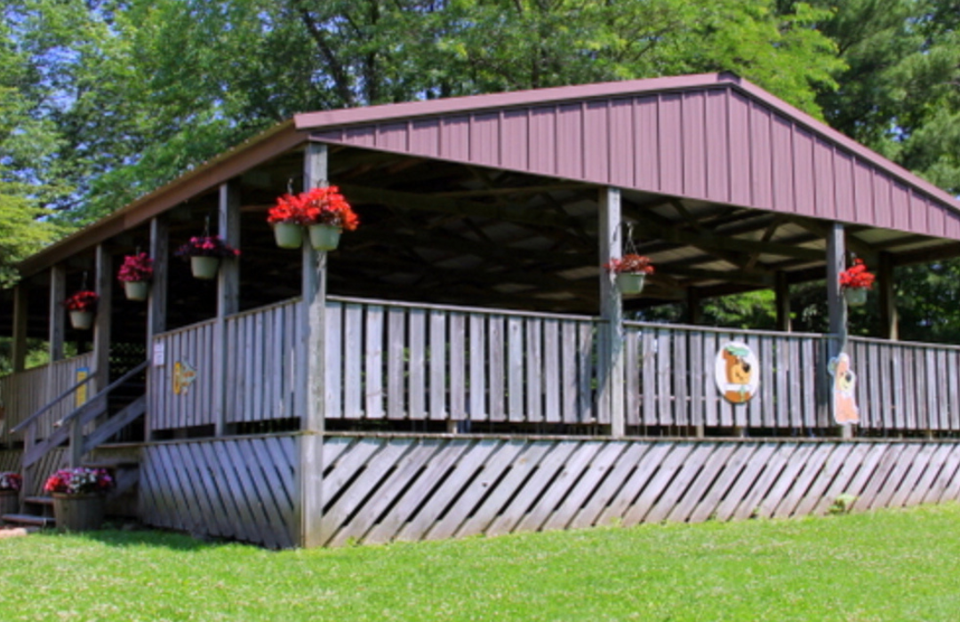 Yogi Bear™ pavilion available to rent for large group gatherings