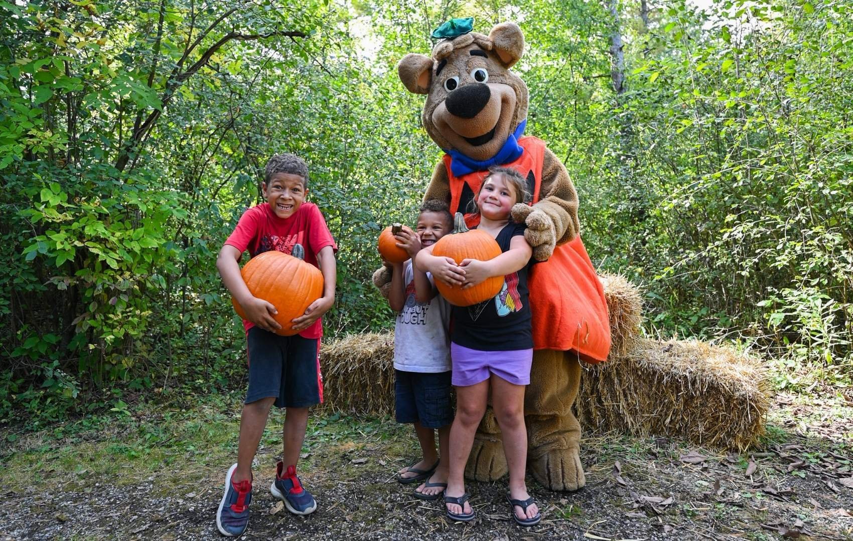 An image of Jellystone campers having fun with Boo Boo picking pumpkins.