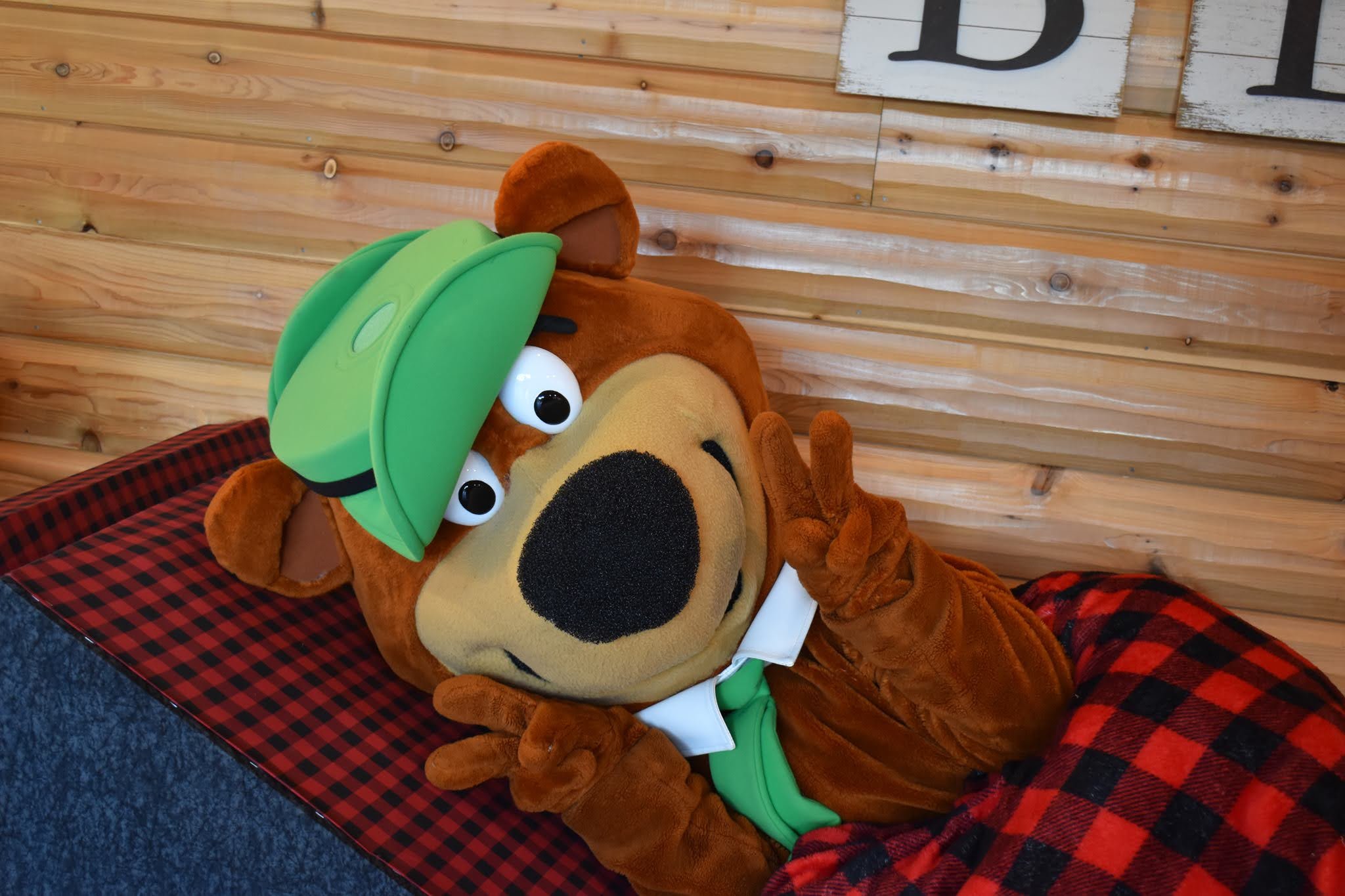 An image of Yogi Bear™ relaxing on a cozy plaid blanket at Jellystone Park™ Caledonia.