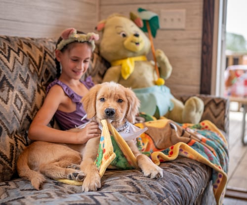 A camper and her dog resting on a couch in a pet-friendly cabin at Jellystone Park™ Caledonia.