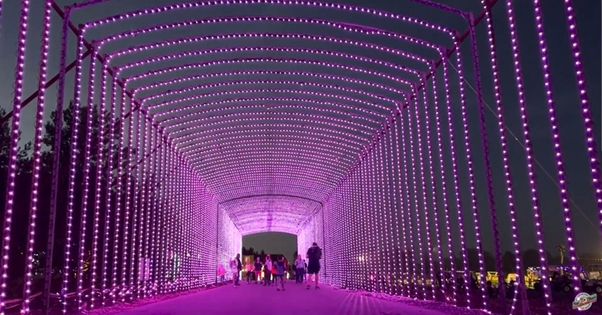 An image from Jellystone Park of our light show set up for Fall.