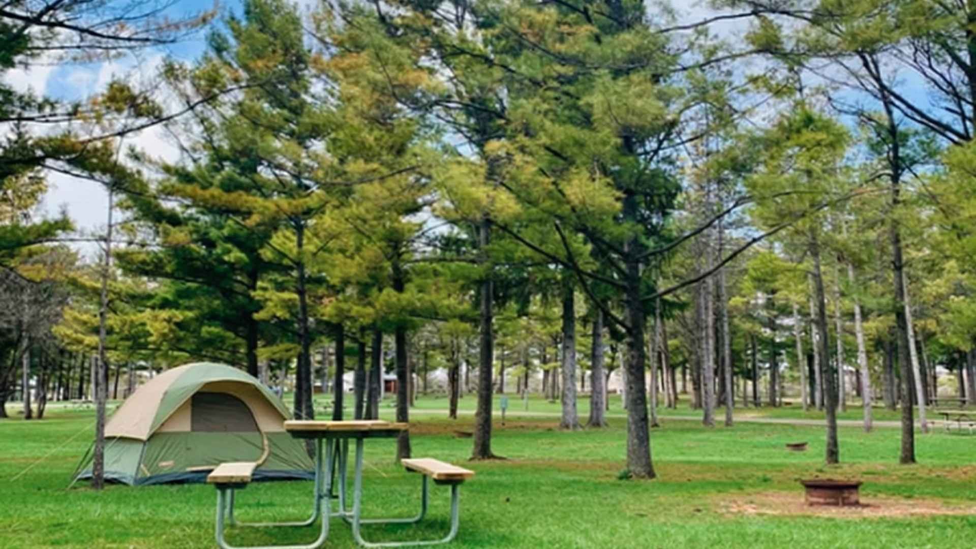 An image from a tent site in Jellystone Park.